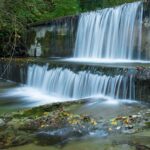 2 Giorni nelle Foreste Casentinesi