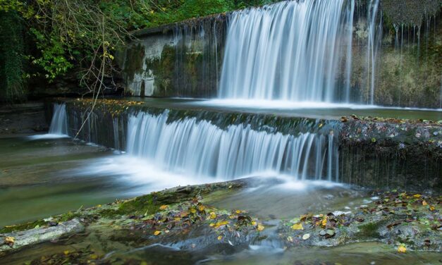 2 Giorni nelle Foreste Casentinesi