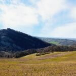 Anello Casalecchio di Reno – Parco Gessi di Monte Rocca, Monte Capra e Tizzano.