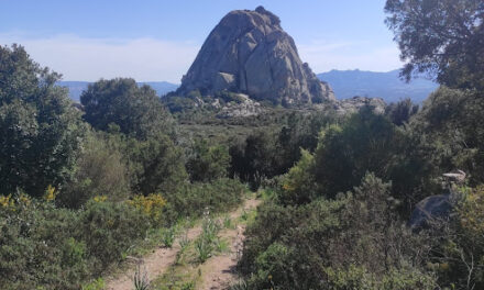 Anello monte Pulchiana con deviazione per vedere il mare e la Corsica