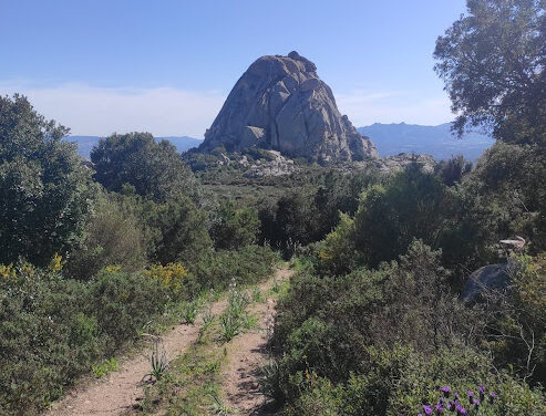 Anello monte Pulchiana con deviazione per vedere il mare e la Corsica