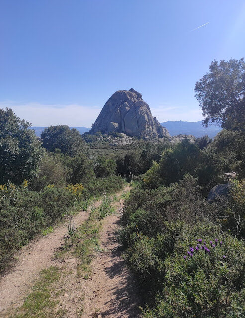 Anello monte Pulchiana con deviazione per vedere il mare e la Corsica