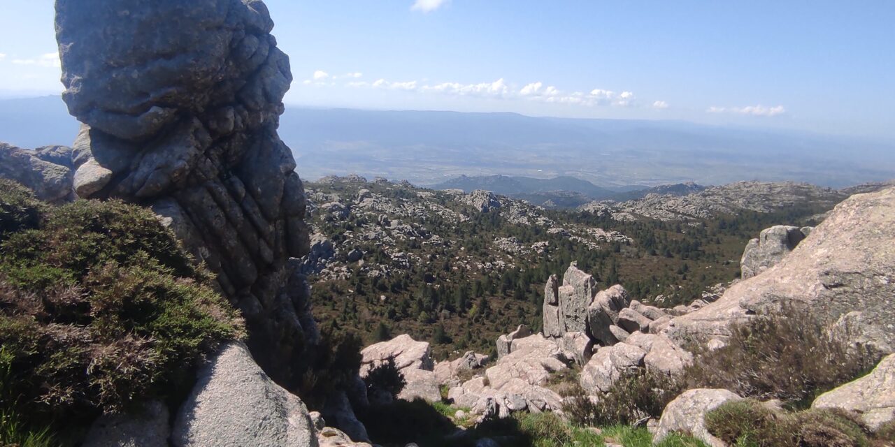 Anello Valliciola – Punta Giogantinu, Monte Limbara, Punta Balistreri