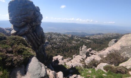 Anello Valliciola – Punta Giogantinu, Monte Limbara, Punta Balistreri