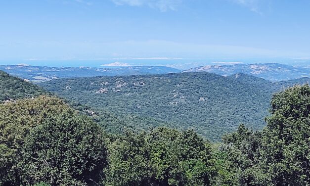 Anello monte Pulchiana con deviazione per vedere il mare e la Corsica