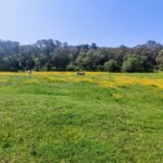 ANELLO BAR LA TREDICI: – TRACCHETTA LE GRAZIE