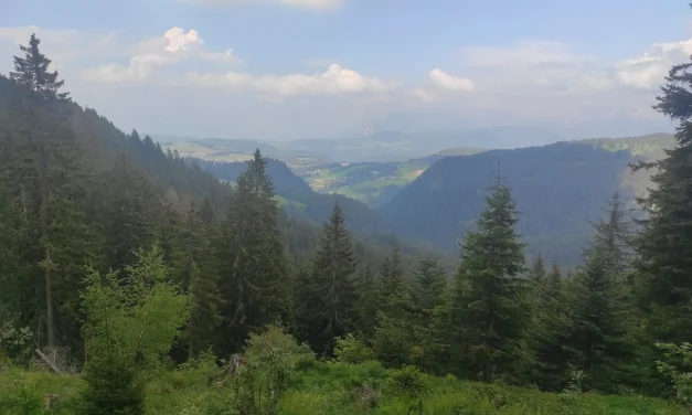 Anello da Santuario di Pietralba e giro delle malghe.