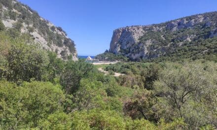 Da Cala Fuili a Cala Luna (Cala Gonone)