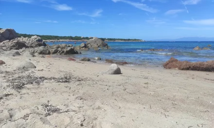 Da Ultima spiaggia a Portobello di Gallura A/R