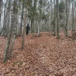 Piamaggio – Croce dell’Alpe di Monghidoro