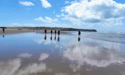 1 Maggio: Praia da Arrifana – Carrapeteira