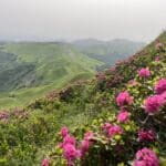 Anello Taburri – Libro Aperto e Gran Mogol | Appennino Modenese