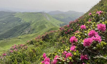 Anello Taburri – Libro Aperto e Gran Mogol | Appennino Modenese