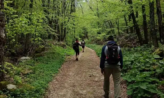Anello Rifugio le Fontanelle