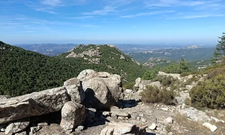 Il Tetto della Gallura: Trekking ad Anello su Sentieri e Vette del Limbara