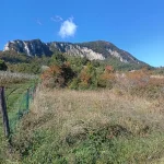 Burzanella-Montòvolo