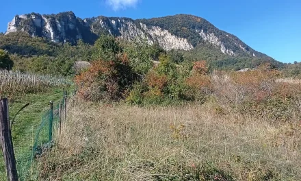 Burzanella-Montòvolo