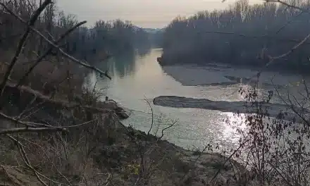 Meloncello San Luca Talon Andrea Costa